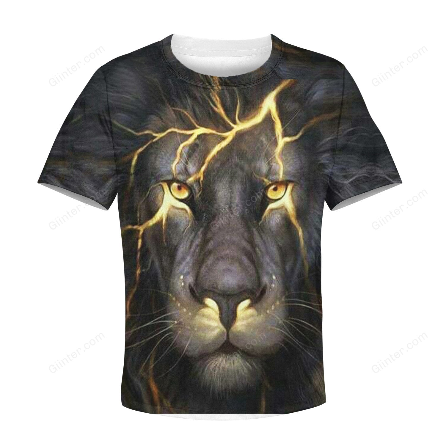 Beautiful 3D All Over Printed Lion Clothes For Kids