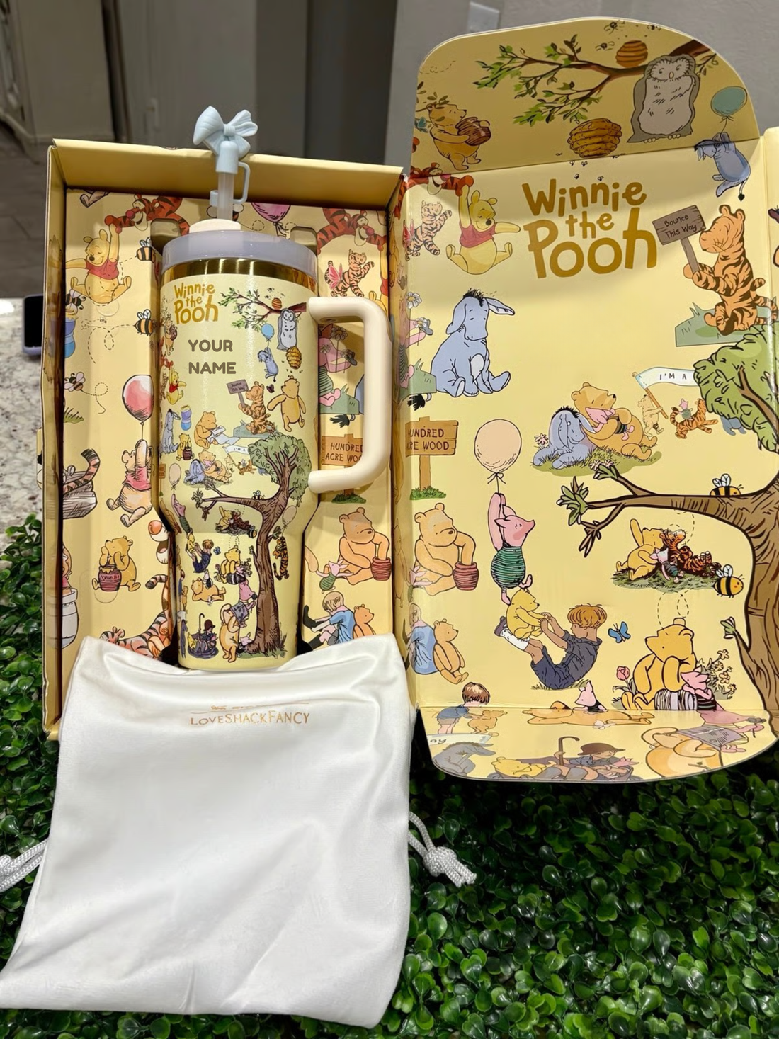 Winnie The Pooh - Tumbler 40OZ GINPOOH34