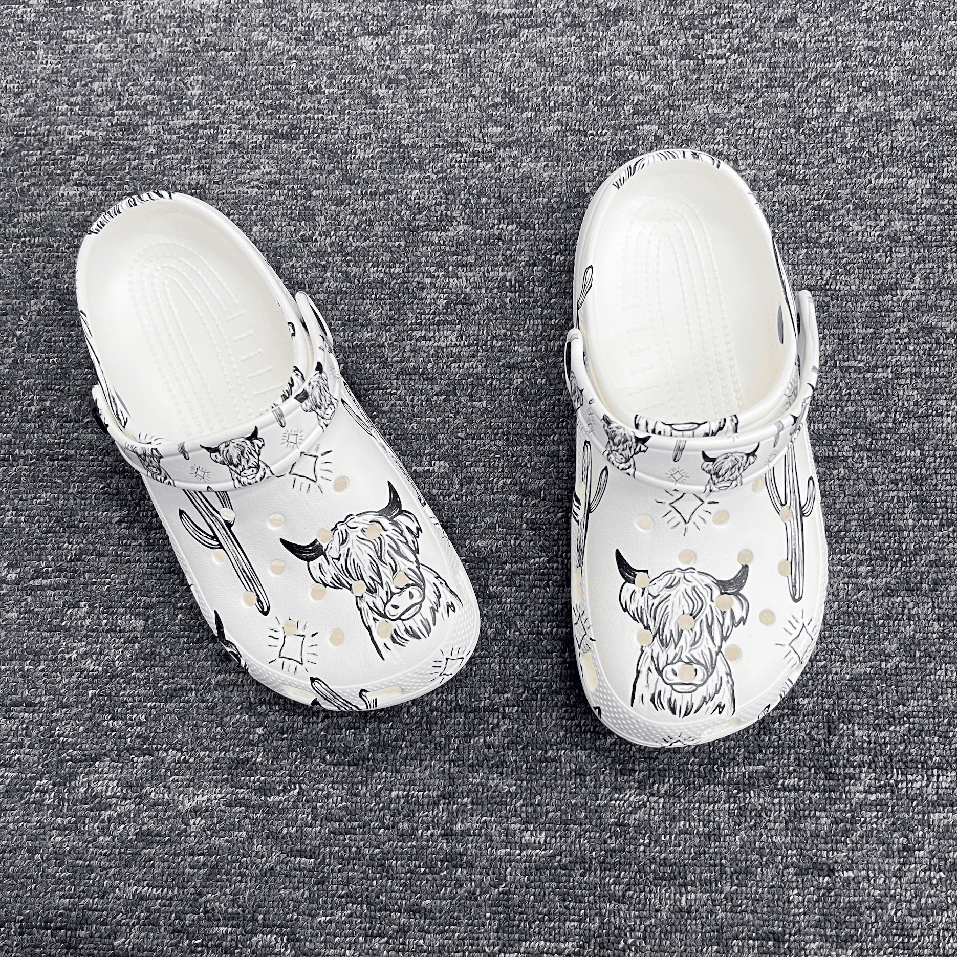 Highland Cows & Catus - Adult/Kid Casual Clogs GINCOW02